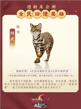 天龙八部私服上传网站
